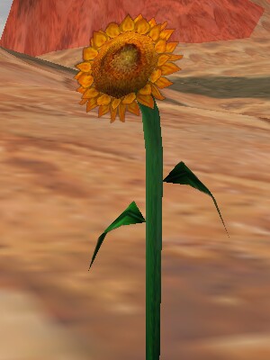 File:Sunflower Live.jpg