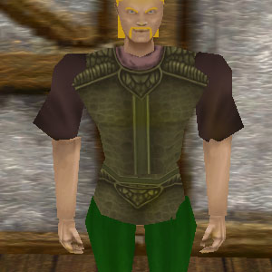 File:Armoredillo Hide Cuirass Live.jpg