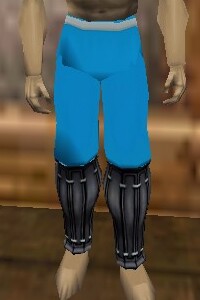 File:Reinforced Shou-jen Shozoku Trousers Lapyan Live.jpg