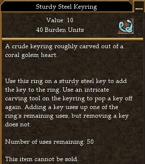 File:Sturdy Steel Keyring.jpg