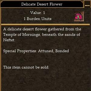 File:Delicate Desert Flower.jpg