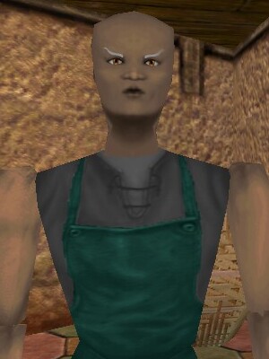 File:Journeyman Scrivener of Creature Magic Live.jpg