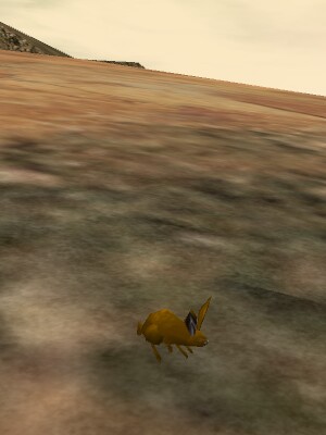 File:Desert Bunny Live.jpg