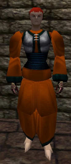 File:Dho Vest and Robe Live.jpg