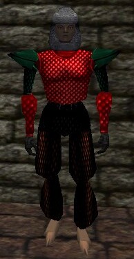 File:Scalemail Armor Live.jpg