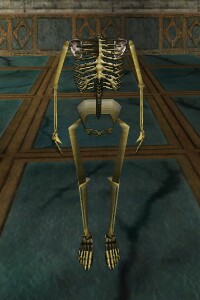 File:Skeletal Body Live.jpg