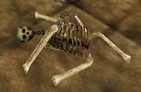 File:The skeleton of Lania Cartoth Live.jpg
