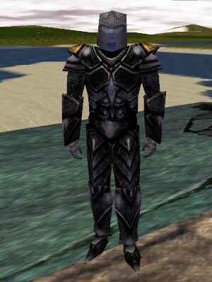 File:Pathwarden Diforsa Armor Live.jpg