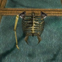 File:Skeletal Torso with an Arm Live.jpg