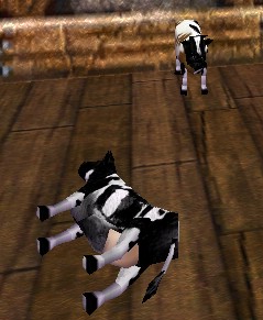 File:Tipped Pack CowLive.jpg
