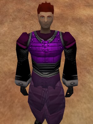 File:Amuli Armor of Lightning Live.jpg