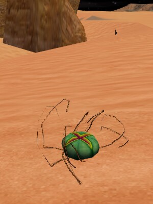 File:Prickly Pear Live.jpg