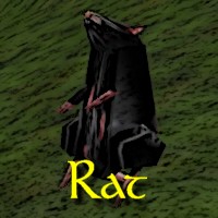 File:Rat Exemplar.jpg
