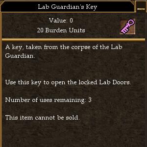 File:Lab Guardian's Key.jpg