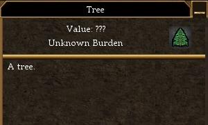 File:Tree.jpg