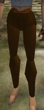 File:Pants (Medium Brown) Live.jpg