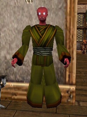File:Pathwarden Robe (Sho) Berimphur Live.jpg