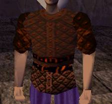 File:Branith's Shirt (Retired) Live.jpg