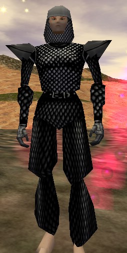 File:Full Scalemail Suit Greaves Tassets Live.jpg