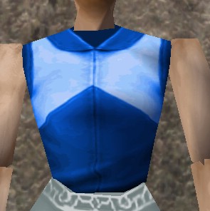 File:Vest (Store) Bright Blue Live.jpg