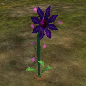 File:Jungle Orchid Live.jpg