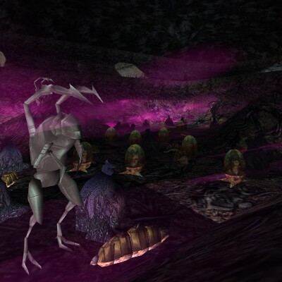File:Secret Putiputi Place Live 6.jpg