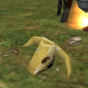 File:Auroch Skull (Renegade Camp) Live.jpg