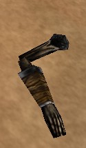 File:Fresh Zombie Arm Live.jpg