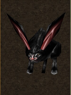 File:Mini Black Rabbit Live.jpg