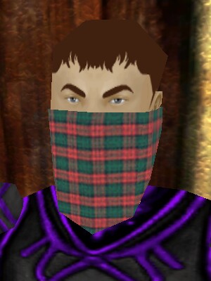 File:Sawato Bandit's Mask Live.jpg