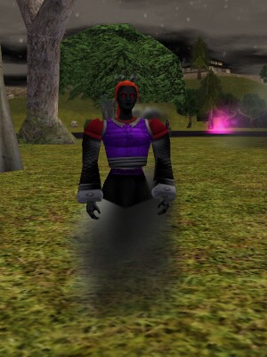 File:Shadow Soldier (NPC) Live.jpg