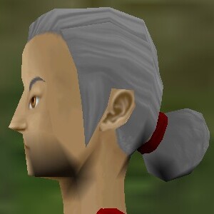 File:Haircut Shadows Female 2 Texture Live.jpg