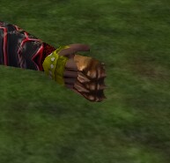 File:Knuckles Live.jpg