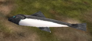 File:Large Fish Live.jpg