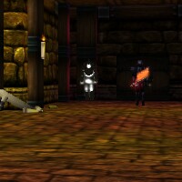 File:Empyrean Notebook on ground by the Inner Chamber Guardian Live.jpg