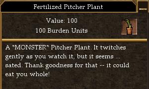 File:Fertilized Pitcher Plant.jpg