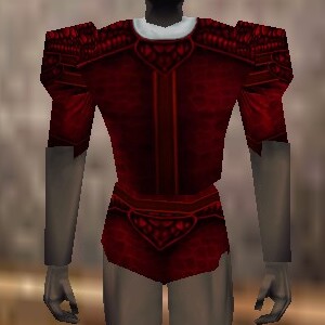 File:Fine Armoredillo Hide Shirt Hennacin Live.jpg