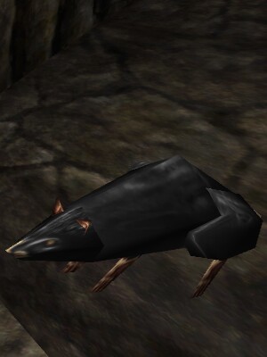 File:Mountain Rat Live.jpg