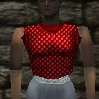 File:Scalemail Breastplate Live.jpg