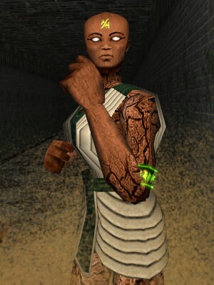 File:A'nekshay Temple Servant Live.jpg
