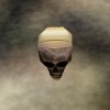 File:Skull of a Skeletal Hero Live.jpg