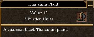 File:Thananim Plant.jpg