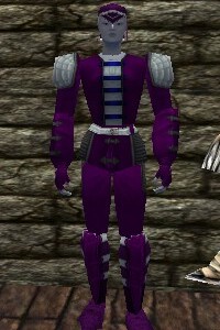File:Leather Armor Relanim Live.jpg