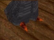 File:Shreth Hide Shoes Live.jpg