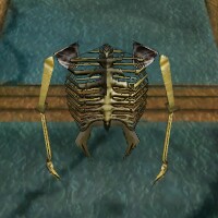 File:Skeletal Torso with Arms Live.jpg