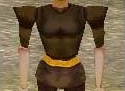 File:Fine Armoredillo Hide Shirt (Retired) Live.jpg
