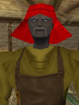 File:Tailor Zayjah Live.jpg