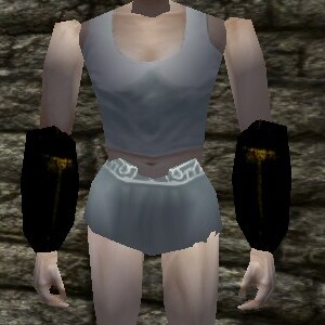 File:Platemail Vambraces Live.jpg
