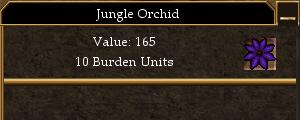 File:Jungle Orchid (Object).jpg