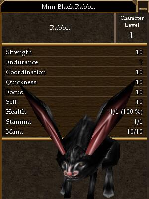 File:Mini Black Rabbit.jpg